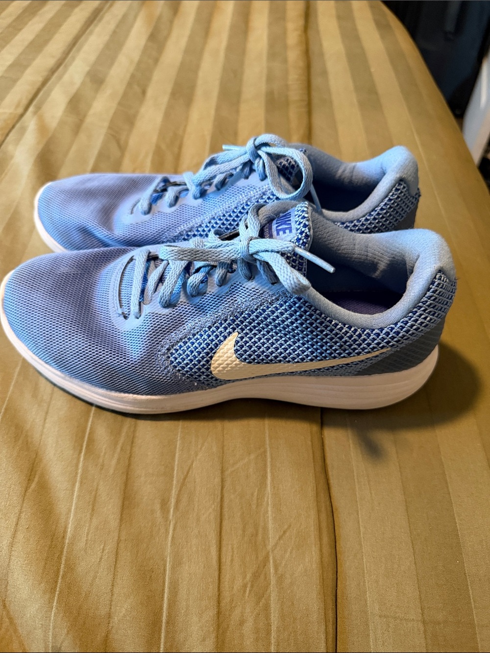 Nike Women's Sky Blue Mesh Running Sneakers with White Swoosh